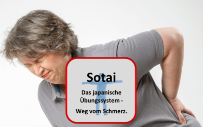Rückengesundheit und Sotai